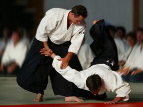 aikido800x600.jpg